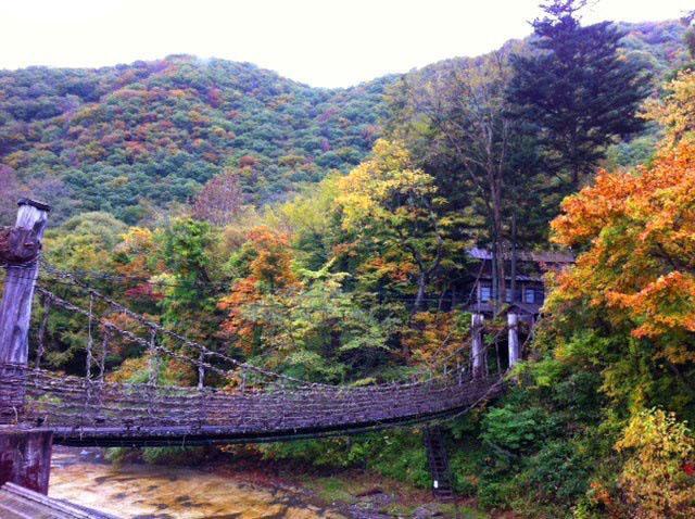 Hotel Honke Bankyu Nikko Exterior foto